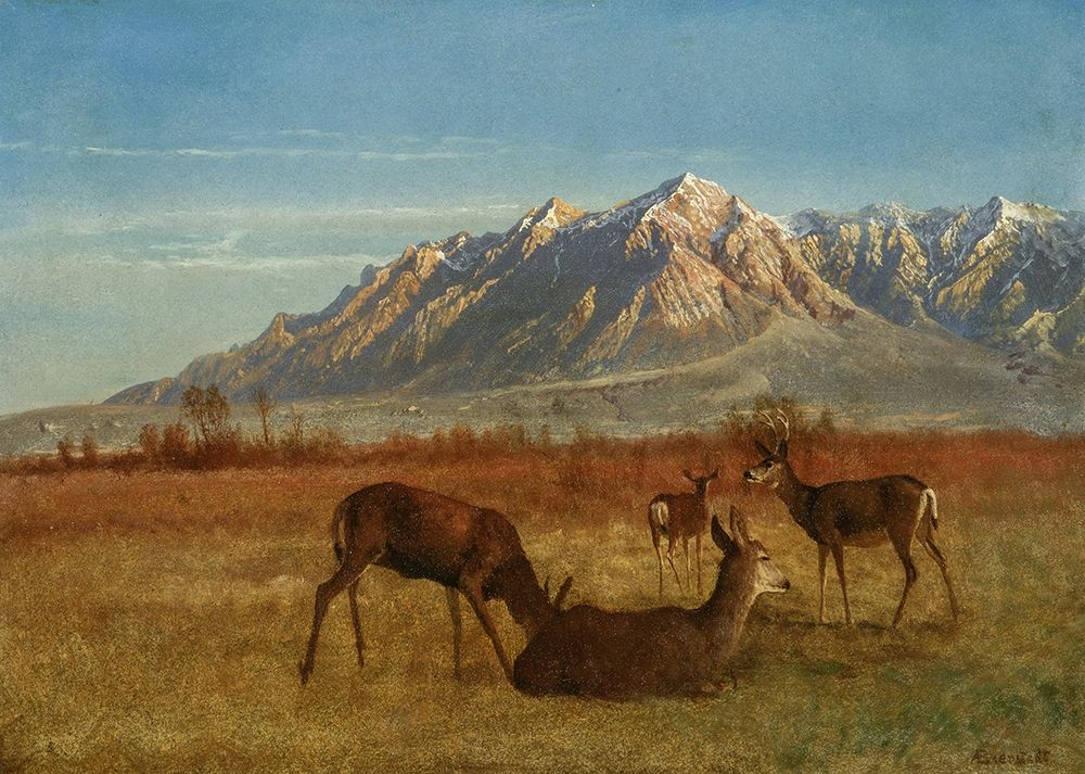 Deer in Mountain Home art print by Albert Bierstadt for $57.95 CAD