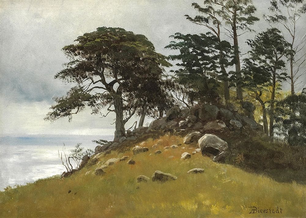 Cypress Point, Monterey art print by Albert Bierstadt for $57.95 CAD