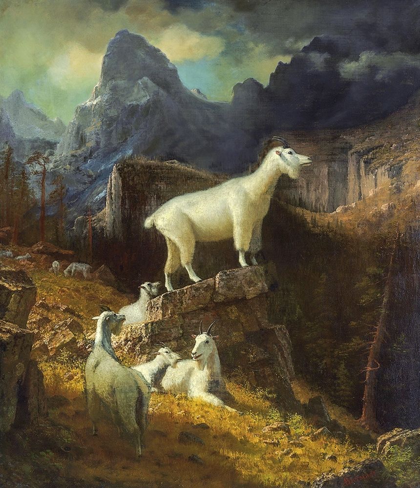 Rocky Mountain Goats art print by Albert Bierstadt for $57.95 CAD