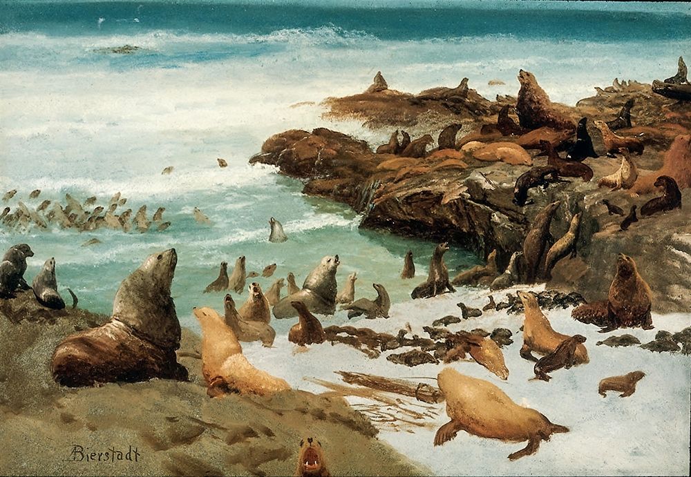 Seal Rocks, Farallons art print by Albert Bierstadt for $57.95 CAD