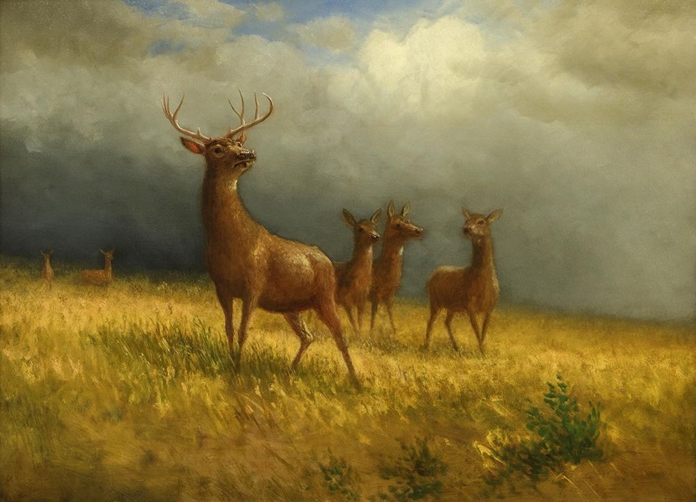 Three Deer and a Stag art print by Albert Bierstadt for $57.95 CAD