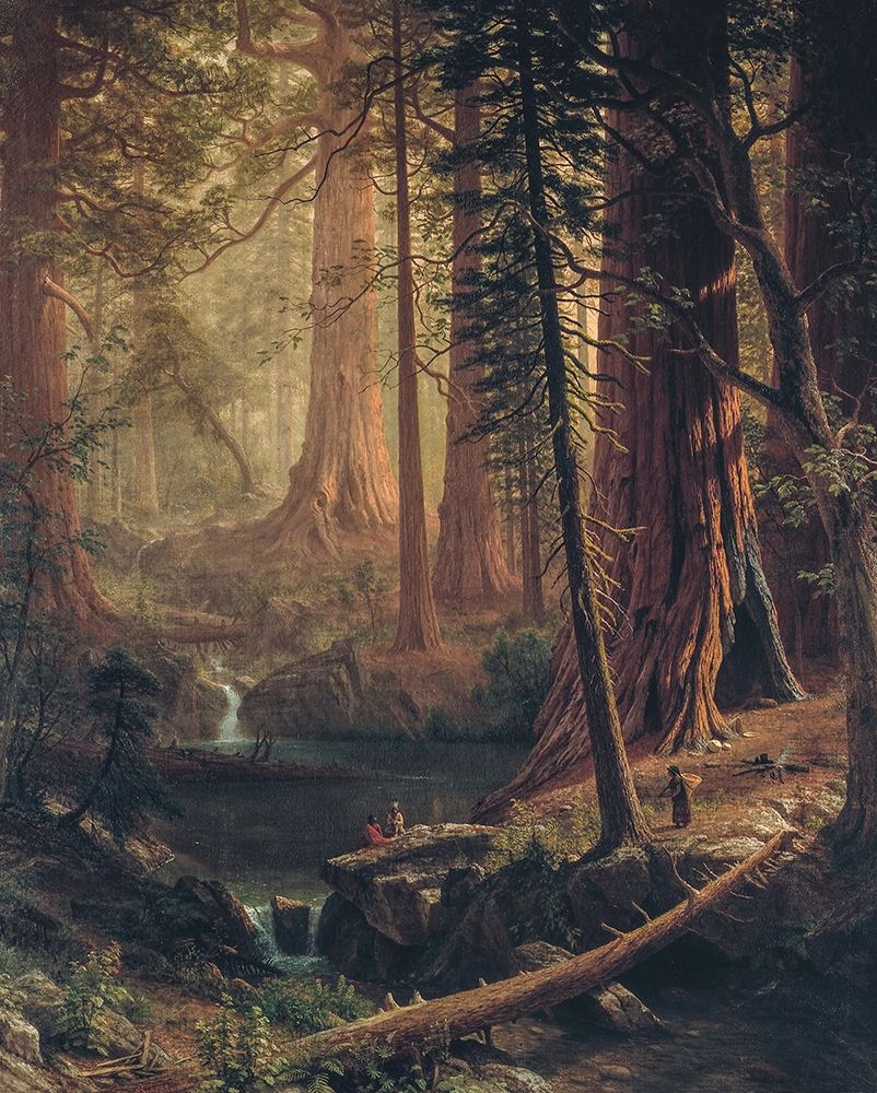 Giant Redwood Trees of California art print by Albert Bierstadt for $57.95 CAD