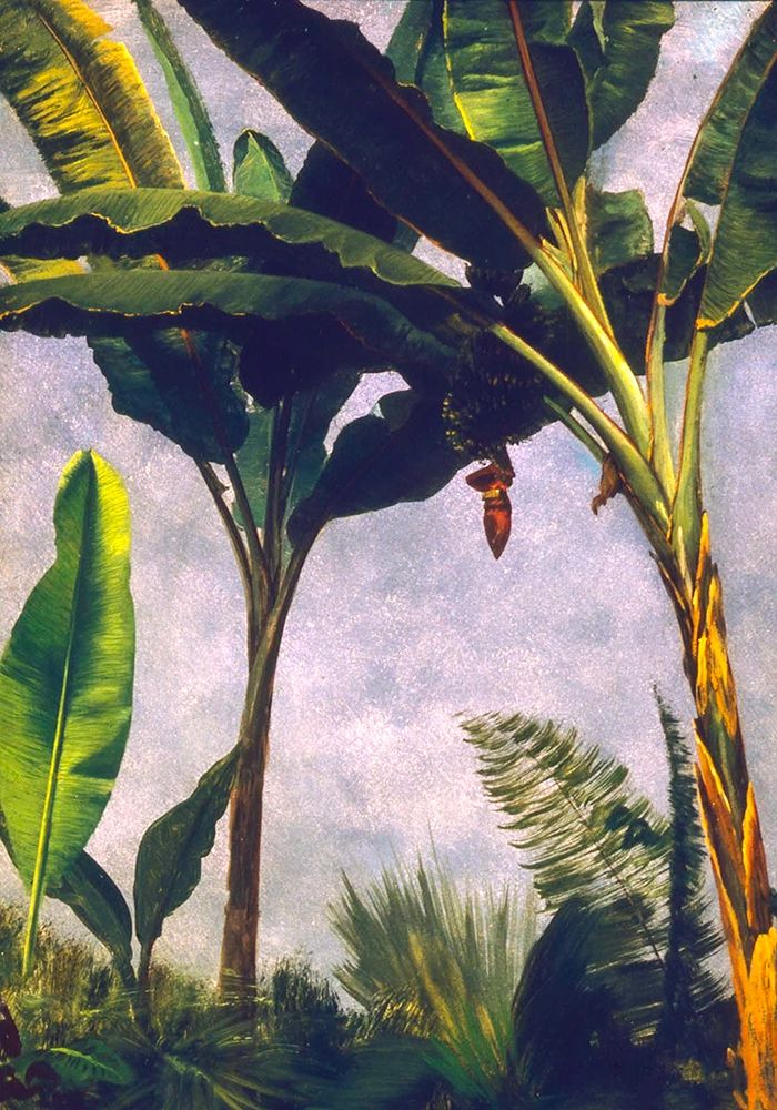 Banana Trees art print by Albert Bierstadt for $57.95 CAD