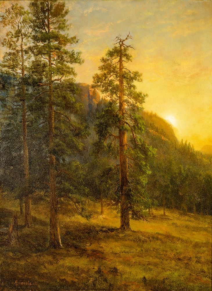 California Redwoods art print by Albert Bierstadt for $57.95 CAD