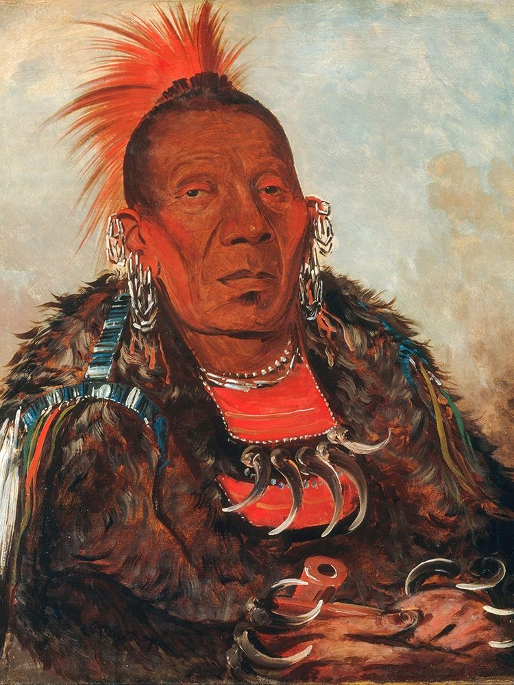 Wah ro nee sah, The Surrounder, Chief of the Tribe art print by George Catlin for $57.95 CAD