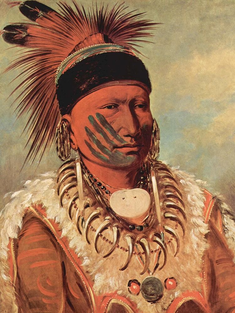 The White Cloud, Head Chief of the Iowas art print by George Catlin for $57.95 CAD