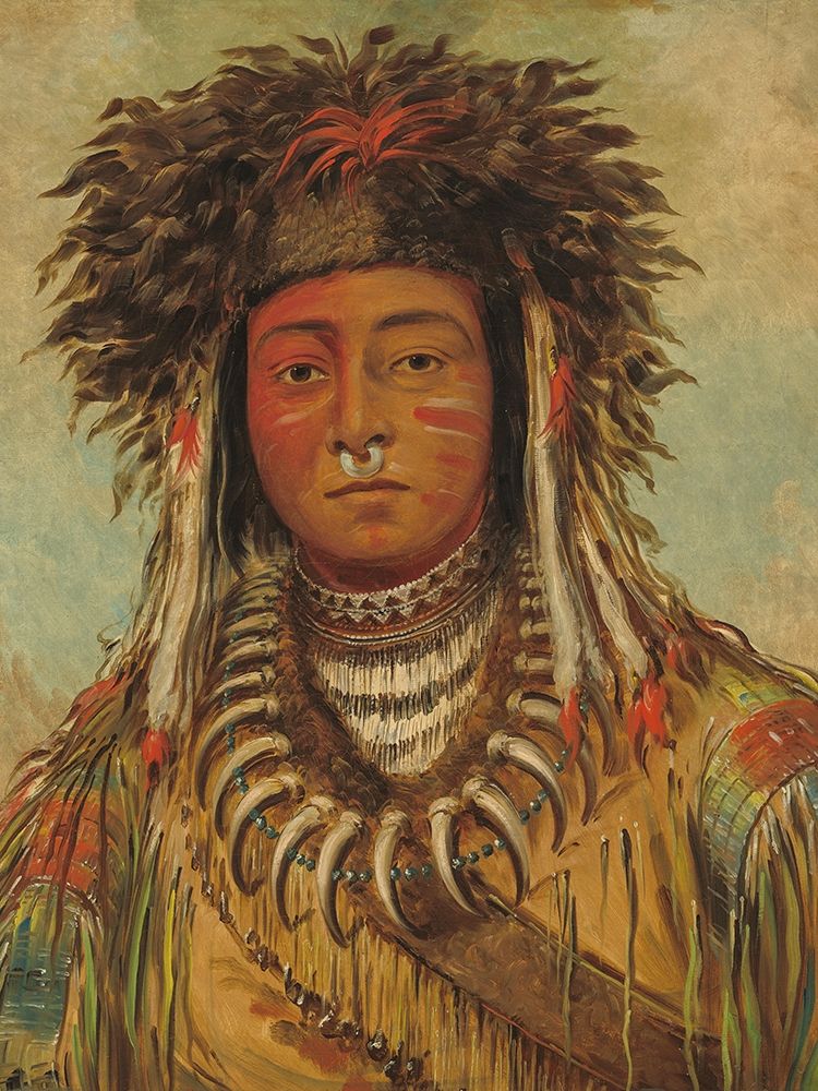 Boy Chief - Ojibbeway art print by George Catlin for $57.95 CAD