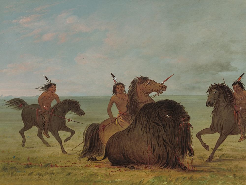 Camanchees Lancing a Buffalo Bull art print by George Catlin for $57.95 CAD