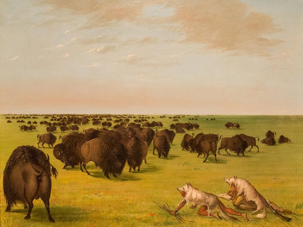 Buffolo Herd Grazing art print by George Catlin for $57.95 CAD