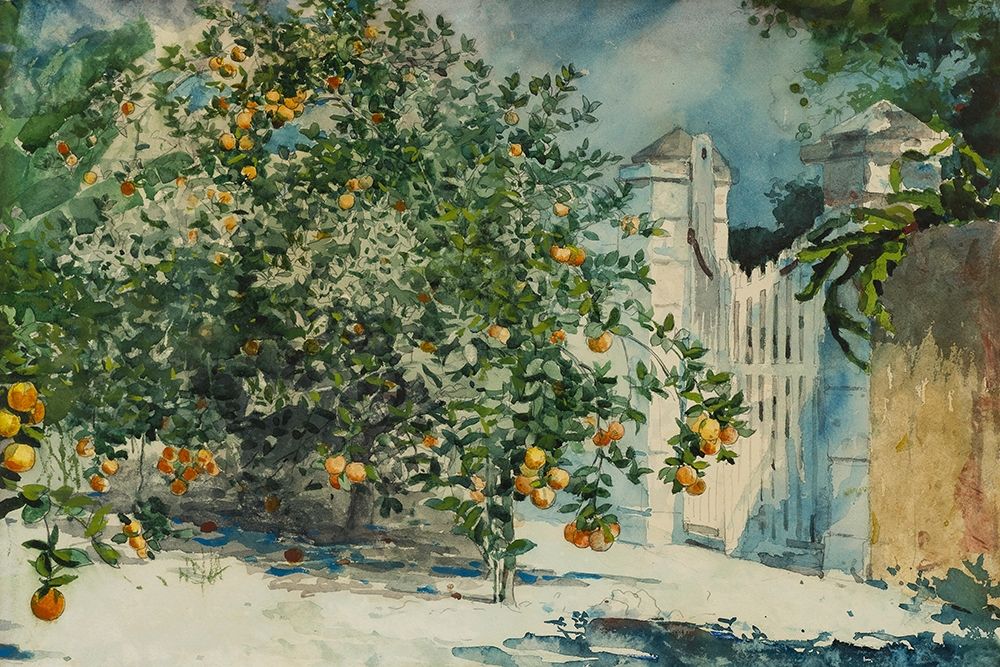 Orange trees and gate art print by Winslow Homer for $57.95 CAD