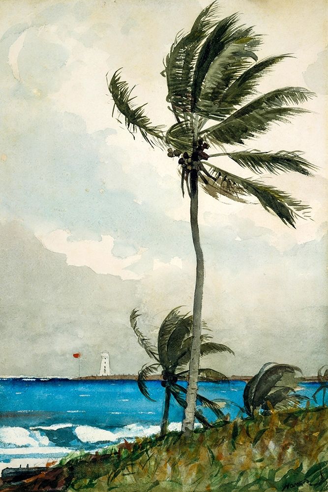 Palm Tree, Nassau art print by Winslow Homer for $57.95 CAD