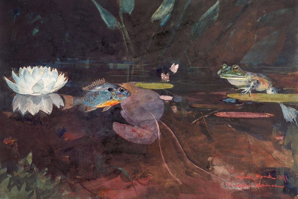 Mink Pond art print by Winslow Homer for $57.95 CAD