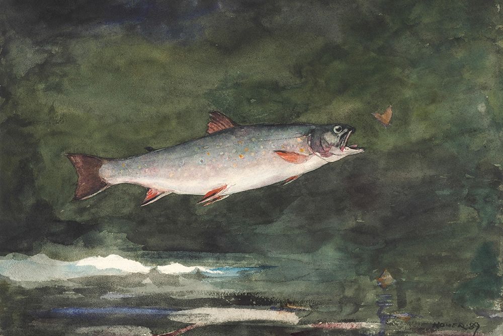 Leaping Trout art print by Winslow Homer for $57.95 CAD
