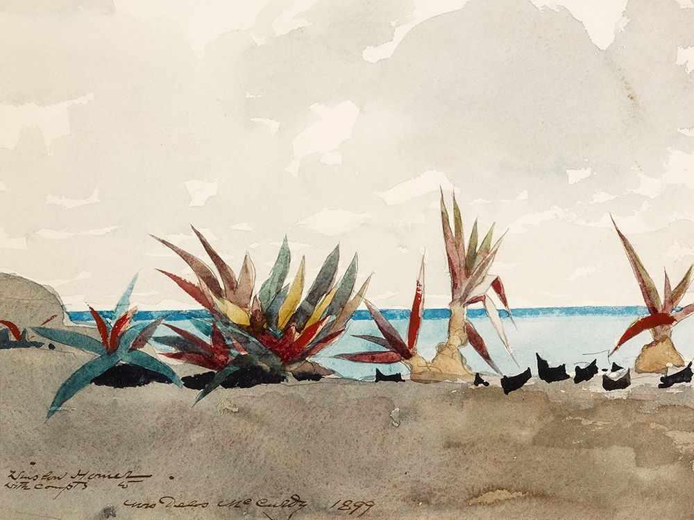 Nassau Beach with Century Plants art print by Winslow Homer for $57.95 CAD