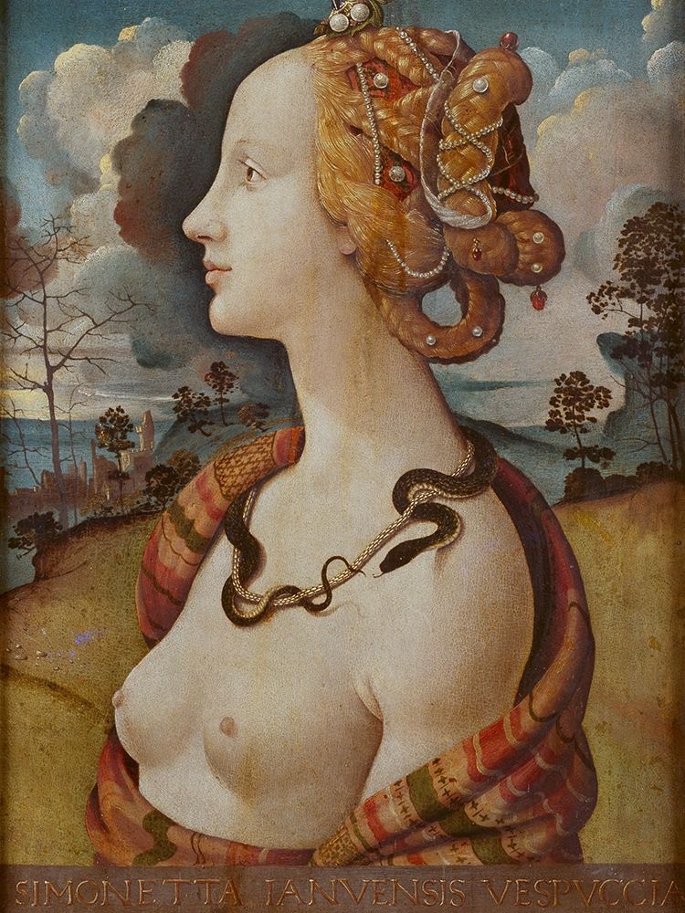 Portrait of Simonetta Vespucci art print by Piero di Cosimo for $57.95 CAD