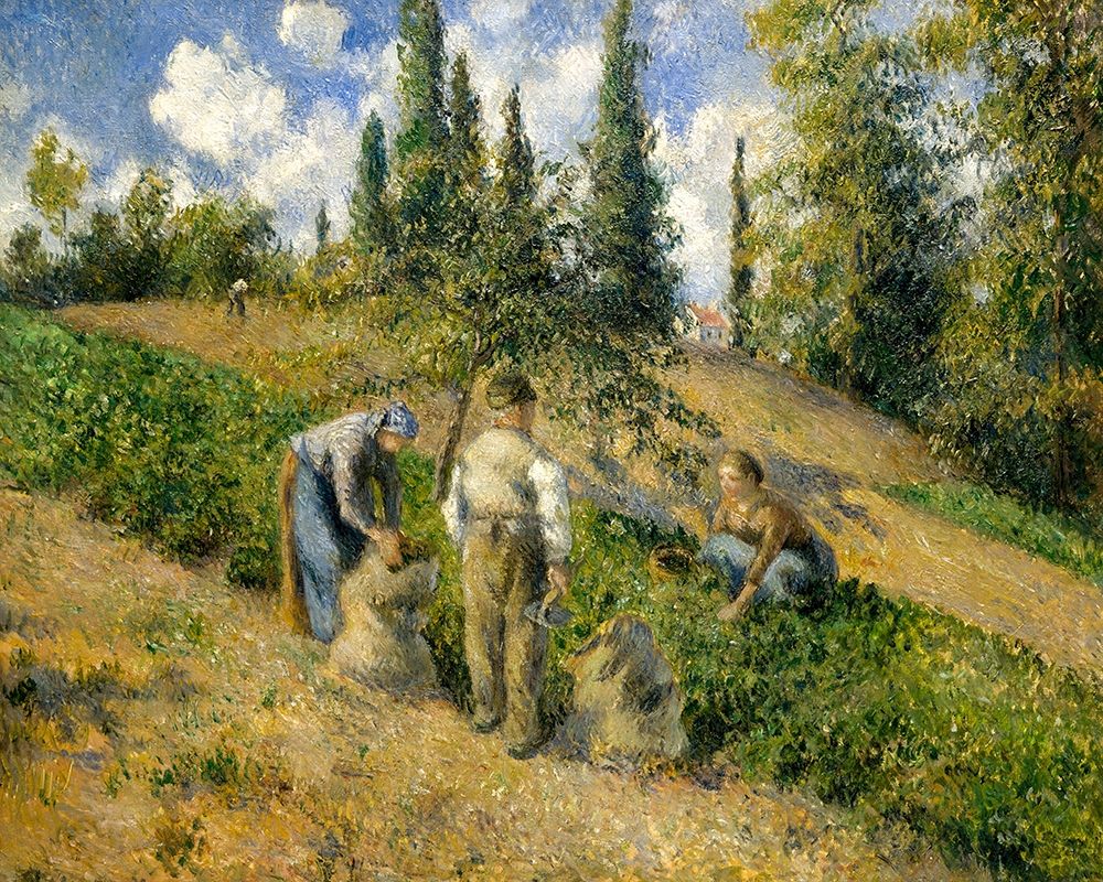 The Harvest, Pontoise art print by Camille Pissarro for $57.95 CAD