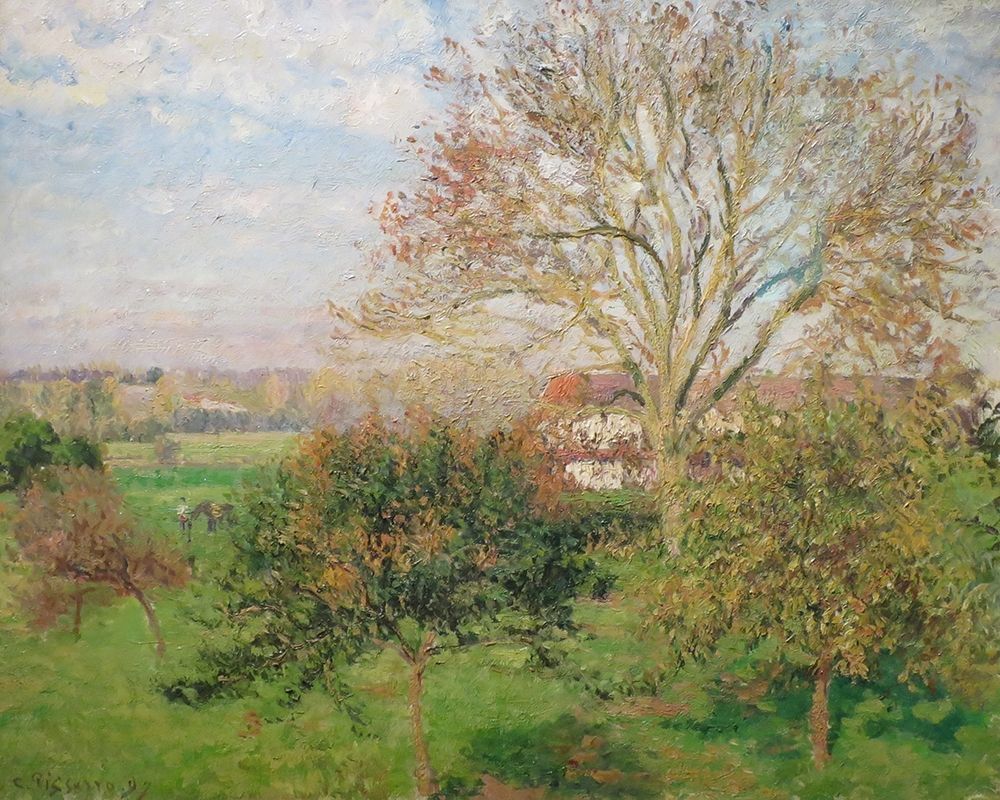 The Big Walnut Tree, Autumn Morning, Eragny art print by Camille Pissarro for $57.95 CAD