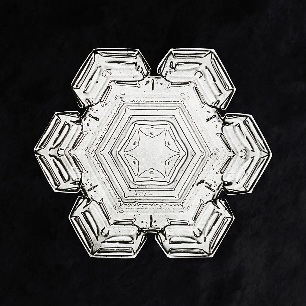 Snowflake 10 art print by Wilson Bentley for $57.95 CAD