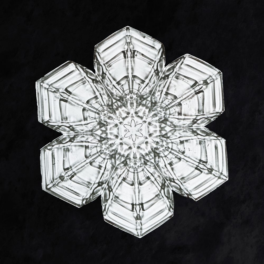 Snowflake 10A art print by Wilson Bentley for $57.95 CAD