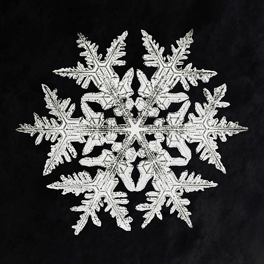 Snowflake 920 art print by Wilson Bentley for $57.95 CAD
