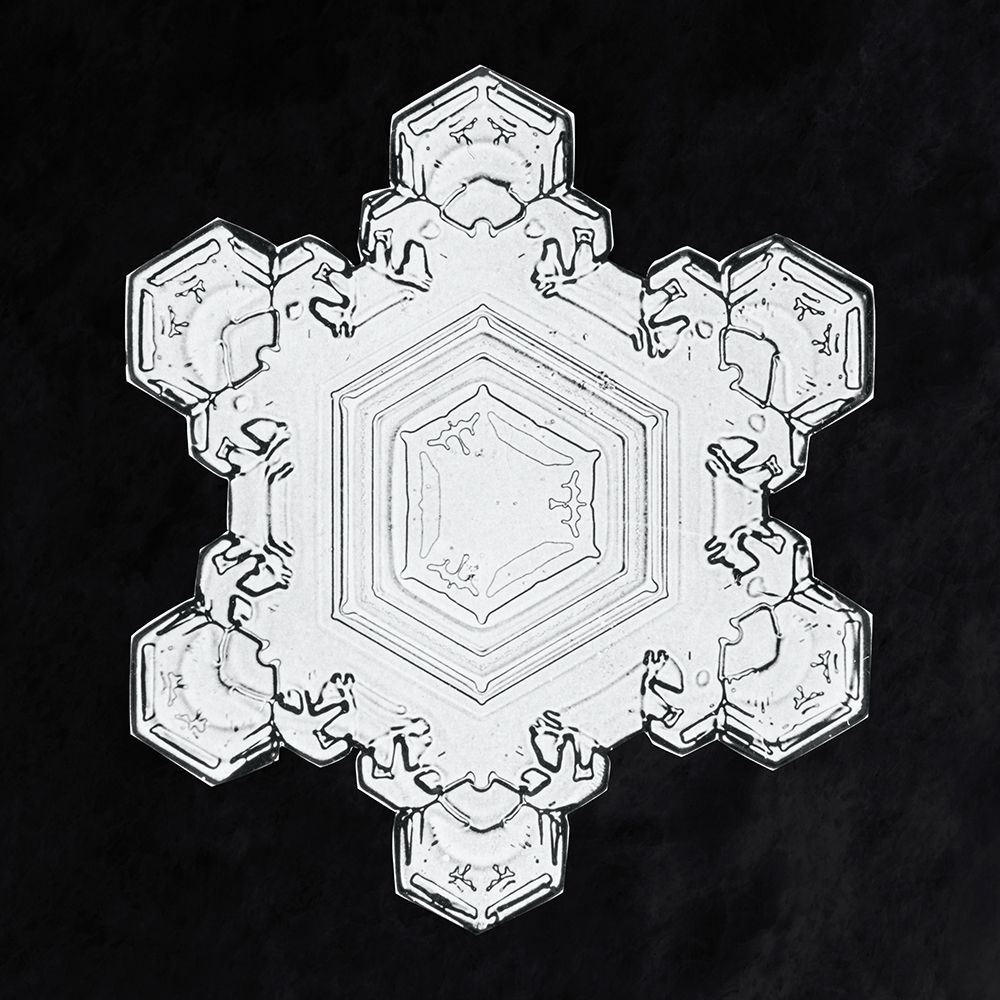 Snowflake 1205 art print by Wilson Bentley for $57.95 CAD