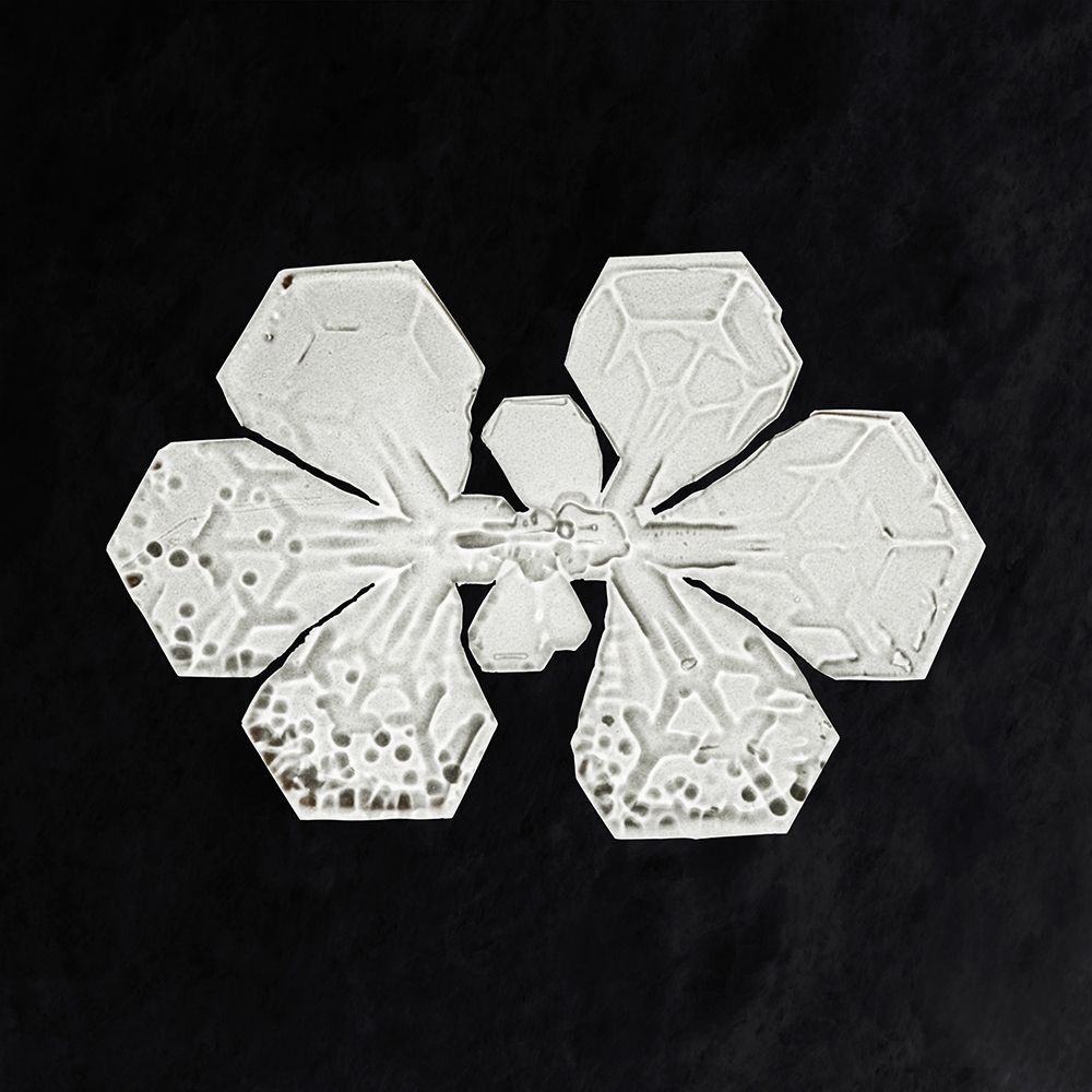 Snowflake 349 art print by Wilson Bentley for $57.95 CAD