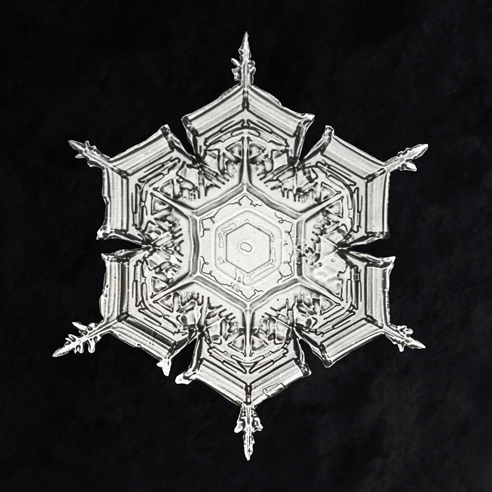 Snowflake 579A art print by Wilson Bentley for $57.95 CAD