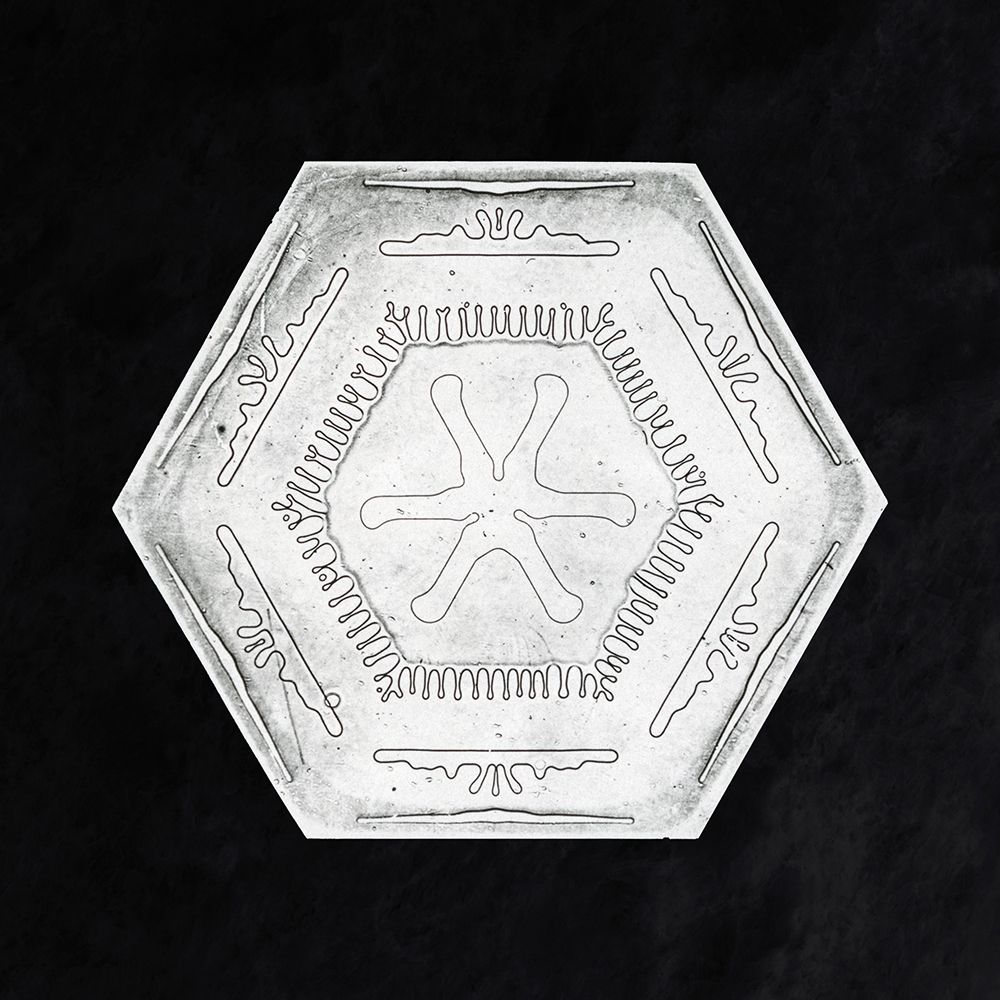 Snowflake 10B art print by Wilson Bentley for $57.95 CAD