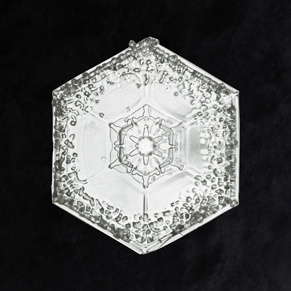 Snowflake 951 art print by Wilson Bentley for $57.95 CAD