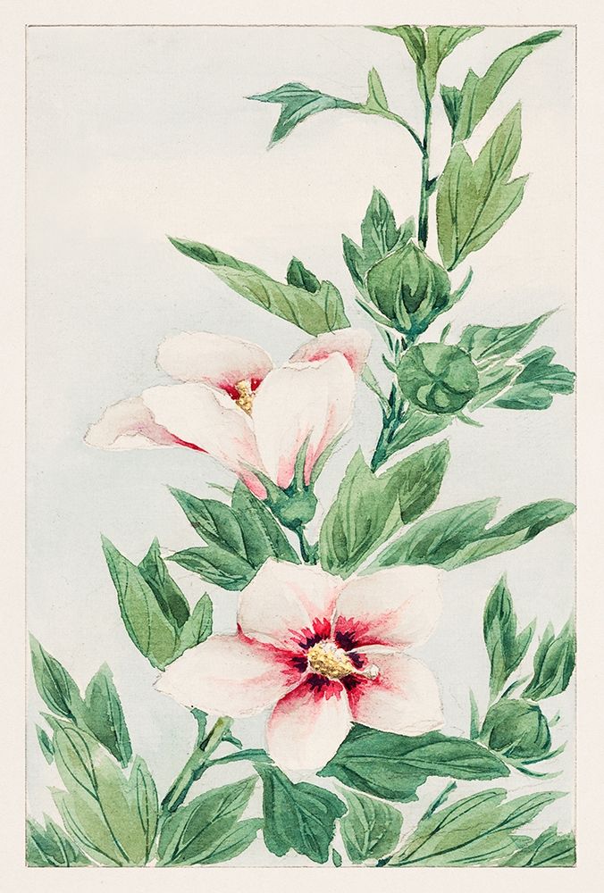 Hibiscus plant art print by Megata Morikaga for $57.95 CAD