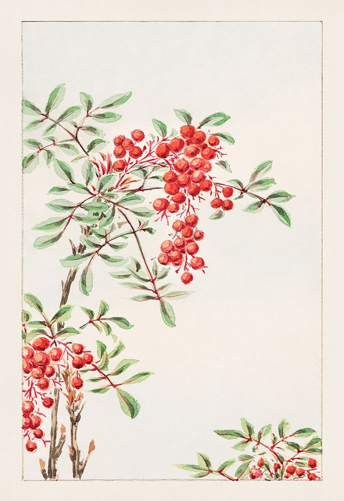 Nandina bush with berries art print by Megata Morikaga for $57.95 CAD