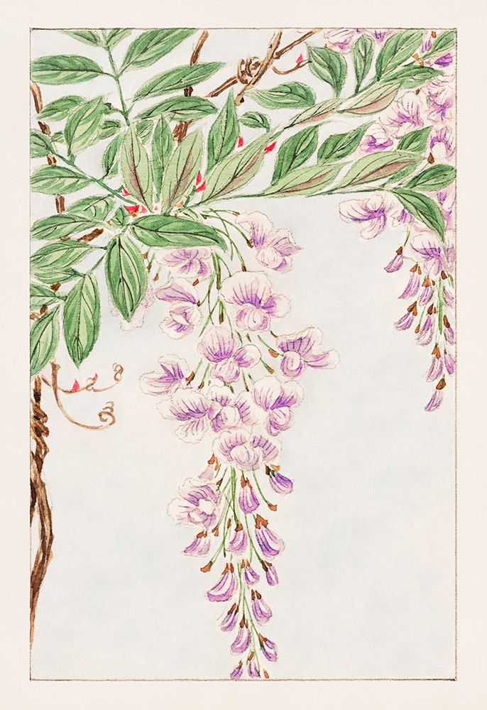 Wisteria vine with leaves and blossoms art print by Megata Morikaga for $57.95 CAD