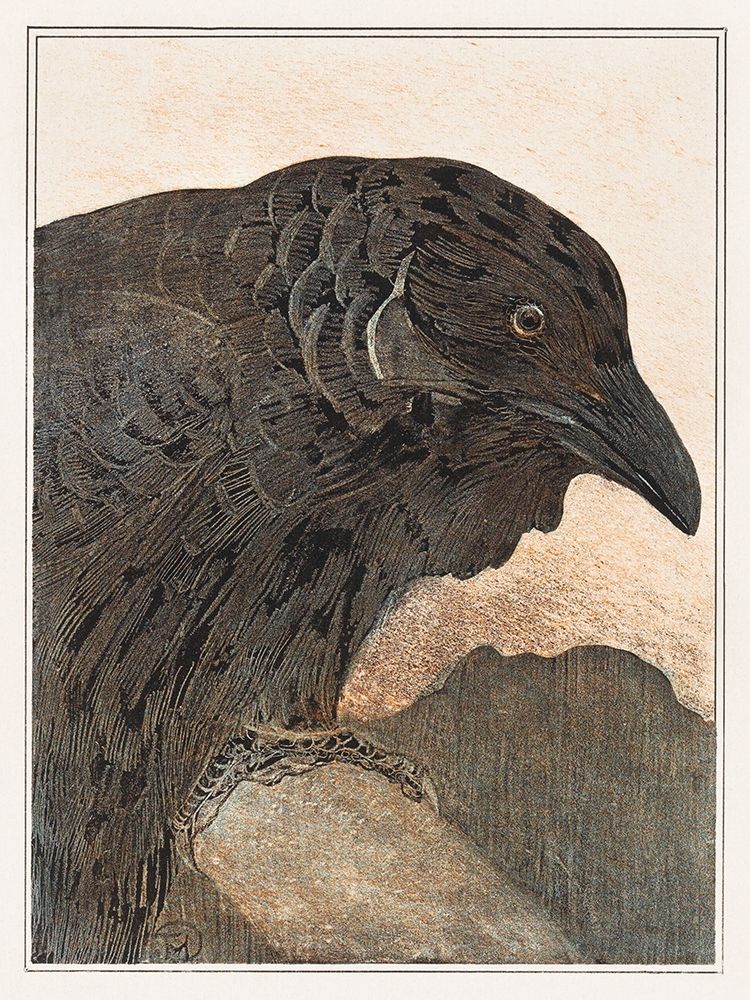 Crow art print by Theo van Hoytema for $57.95 CAD