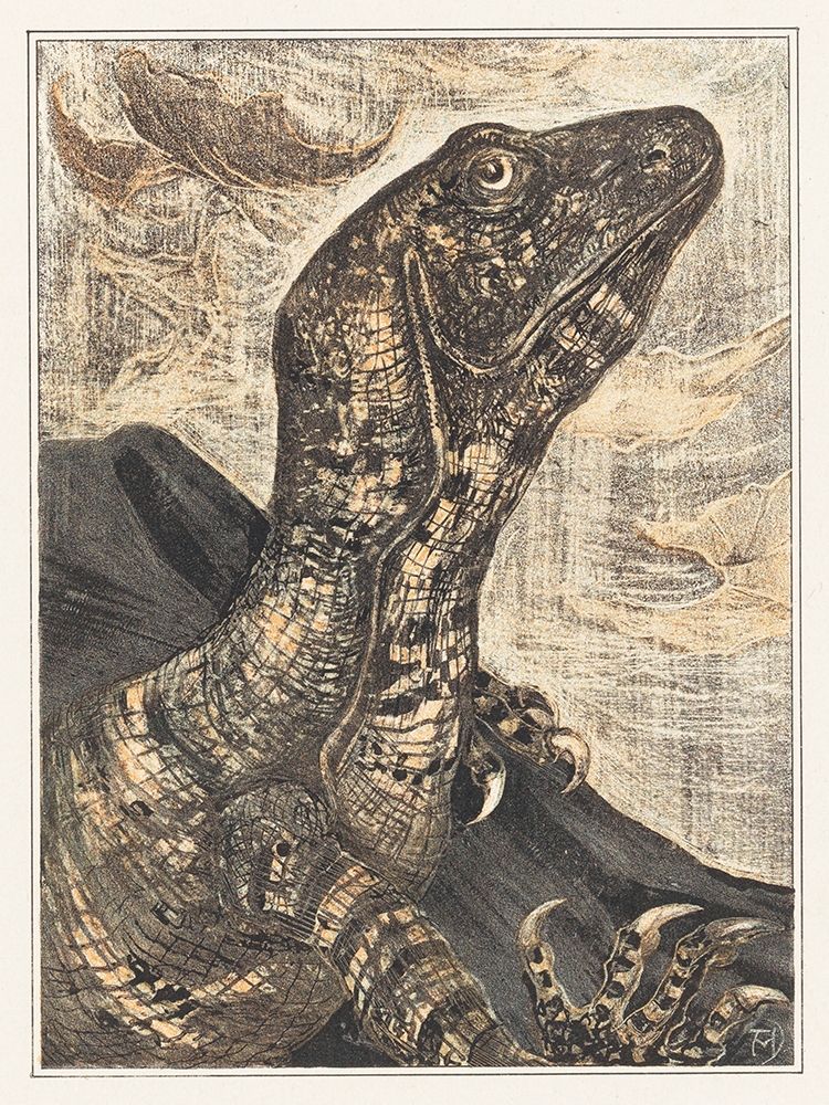 Iguana art print by Theo van Hoytema for $57.95 CAD