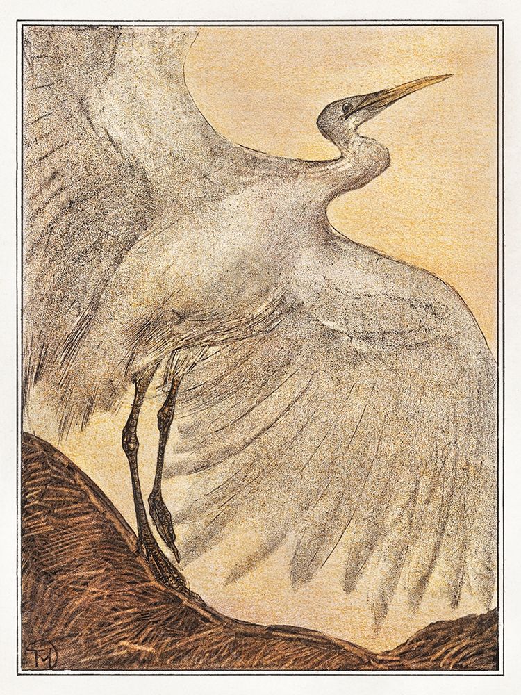 Egret art print by Theo van Hoytema for $57.95 CAD