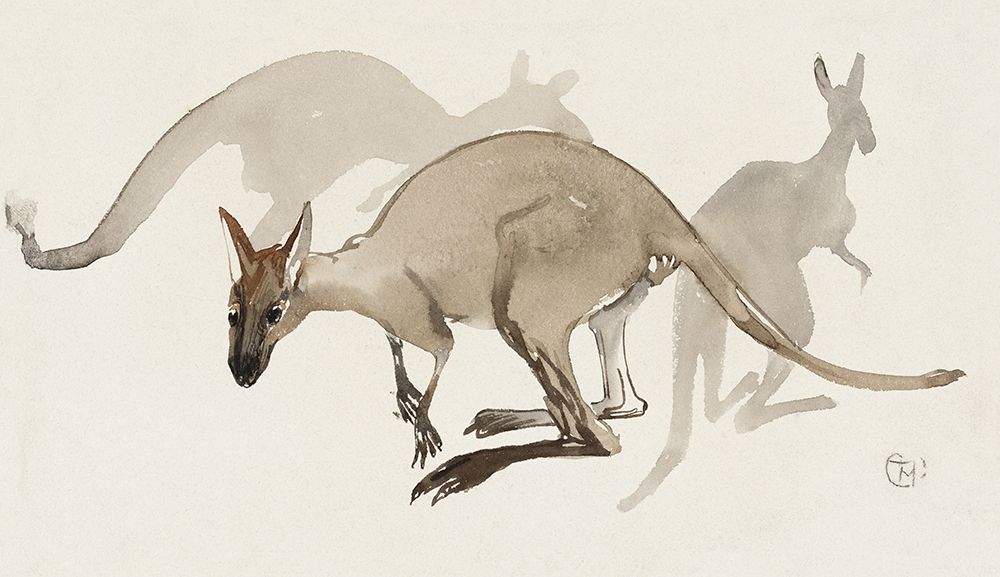 Kangaroos art print by Theo van Hoytema for $57.95 CAD
