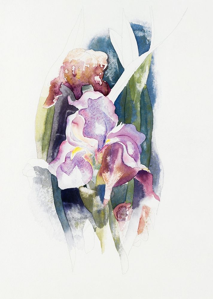 Purple Iris art print by Charles Demuth for $57.95 CAD