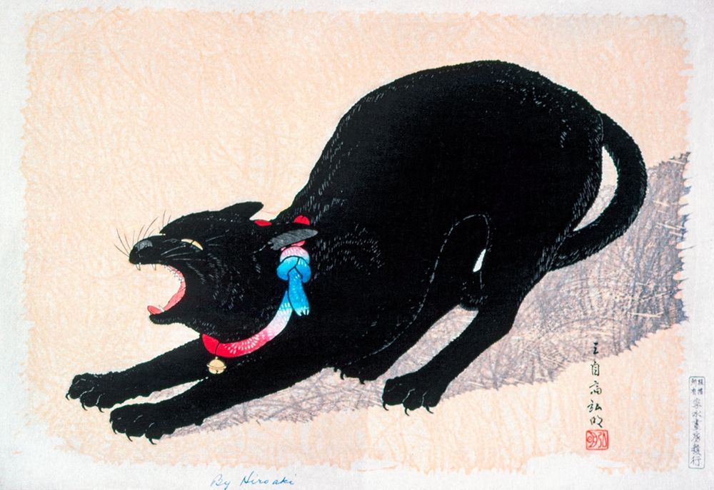 Black Cat Hissing art print by Hiroaki Takahashi for $57.95 CAD