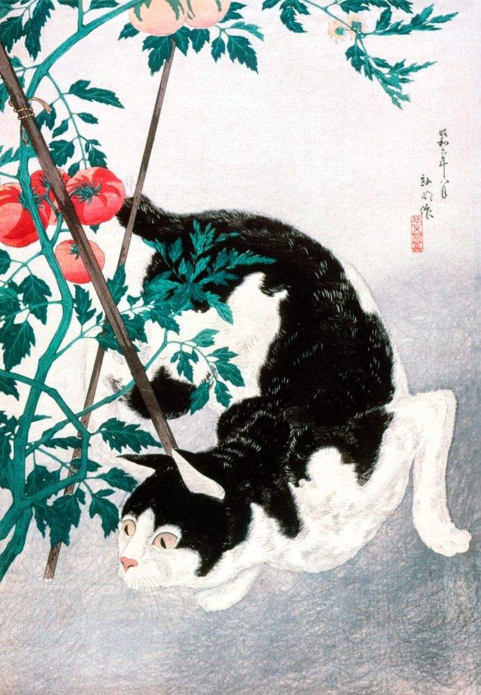Cat with Tomato Plant art print by Hiroaki Takahashi for $57.95 CAD