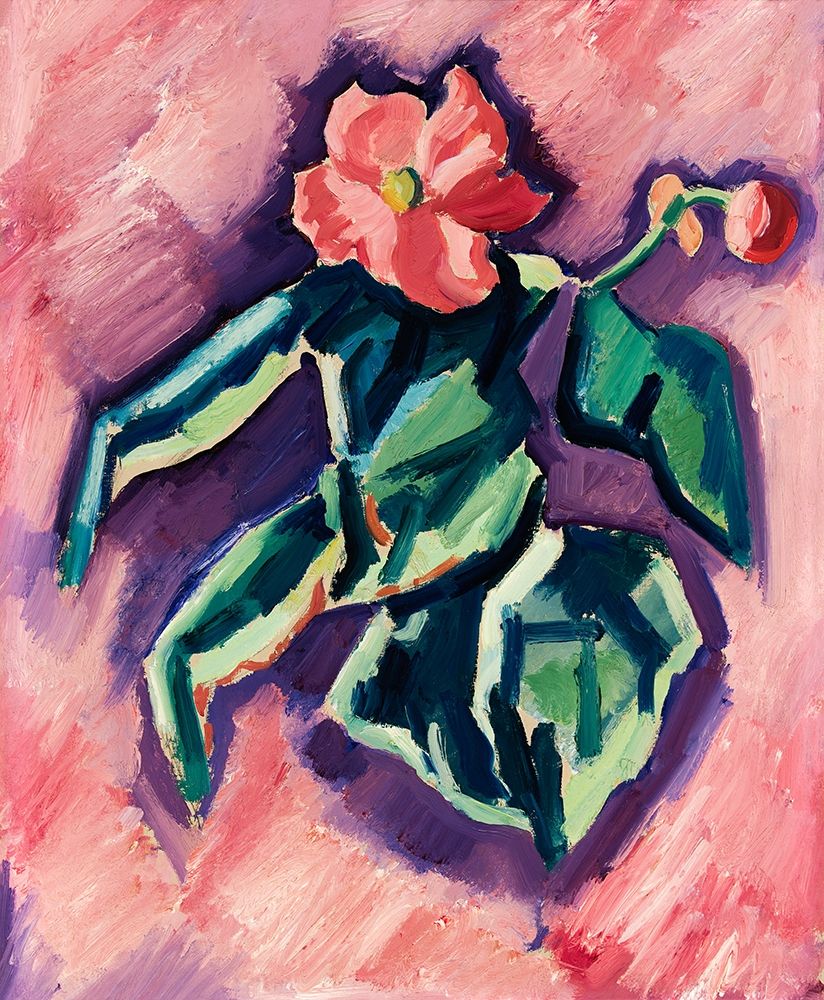 Pink Begonias art print by Marsden Hartley for $57.95 CAD