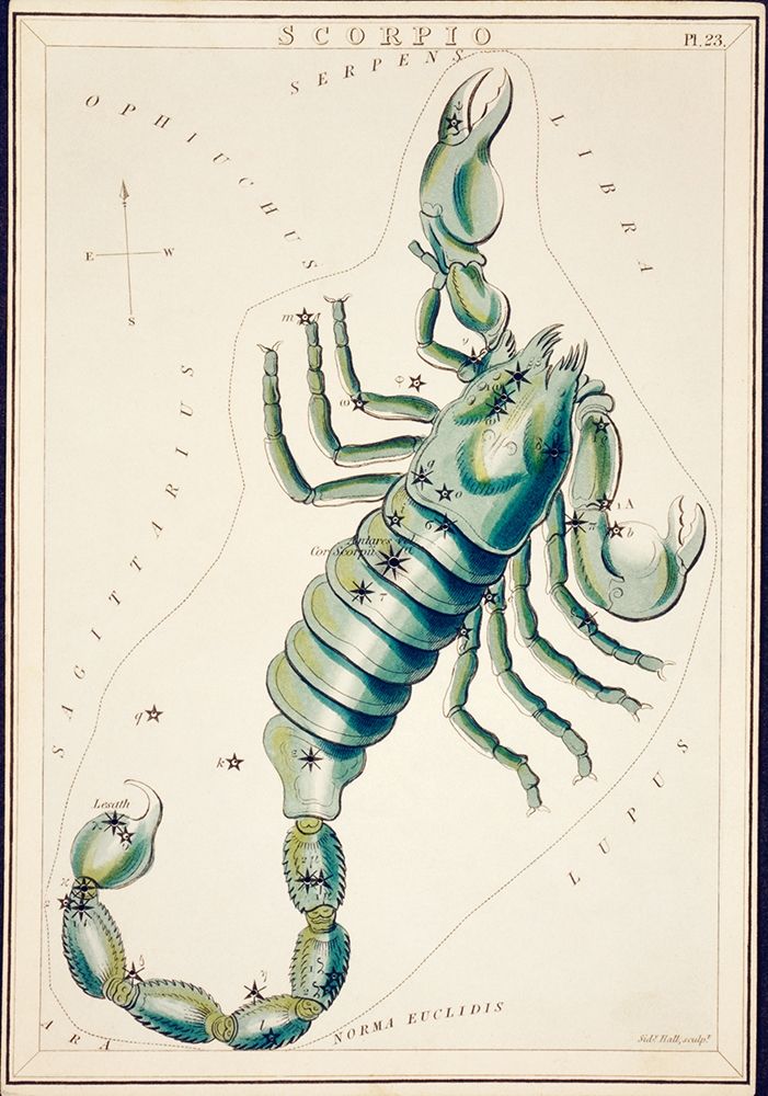 Astronomical chart illustration of the Scorpio art print by Library of Congress for $57.95 CAD
