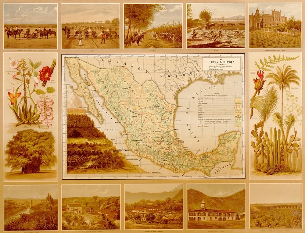Agricultural Map of Mexico art print by Vintage Maps for $57.95 CAD