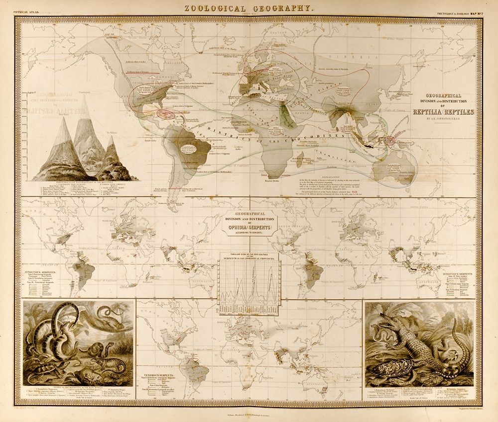 Reptiles Serpents Ophidia of the World art print by Vintage Maps for $57.95 CAD
