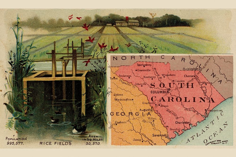 South Carolina art print by Arbuckle Brothers for $57.95 CAD