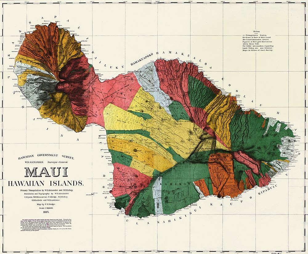 Maui Hawaiian islands art print by F S Dodge for $57.95 CAD
