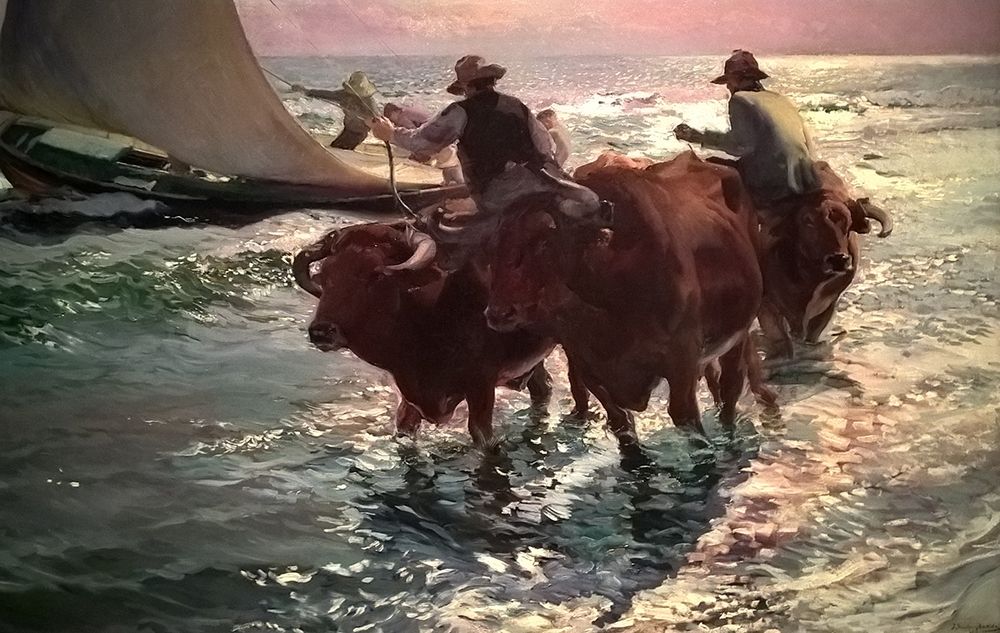 Oxen in the Sea art print by Joaquin Sorolla for $57.95 CAD