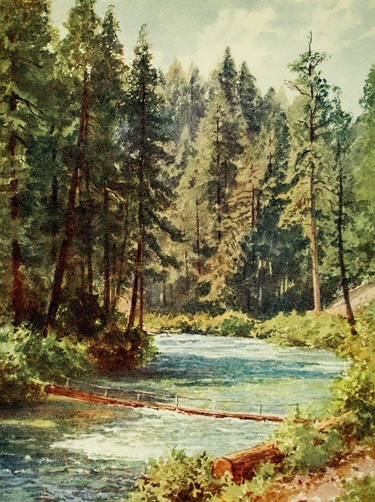McCloud River-Sacramento Valley-California 1914 art print by Sutton Palmer for $57.95 CAD