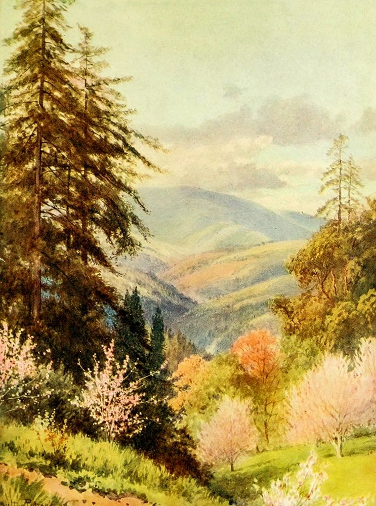 Santa Cruz mountain-the coast range-California 1914 art print by Sutton Palmer for $57.95 CAD
