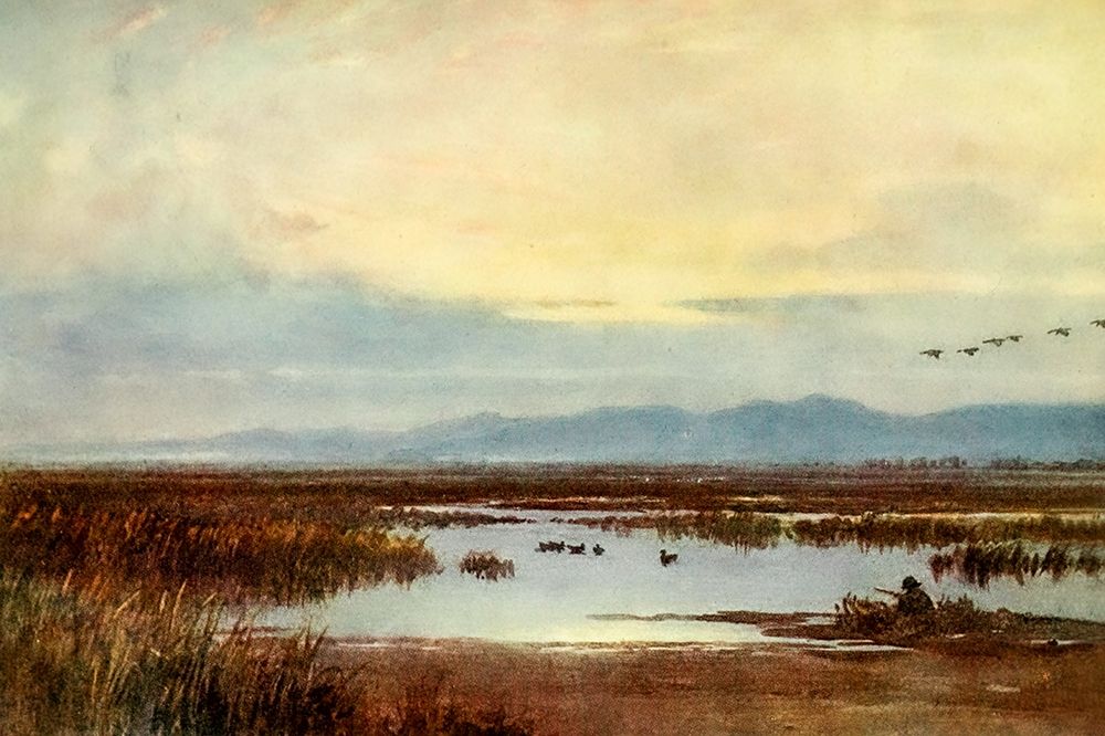 Waiting for duck-Los Banos-California 1914 art print by Sutton Palmer for $57.95 CAD