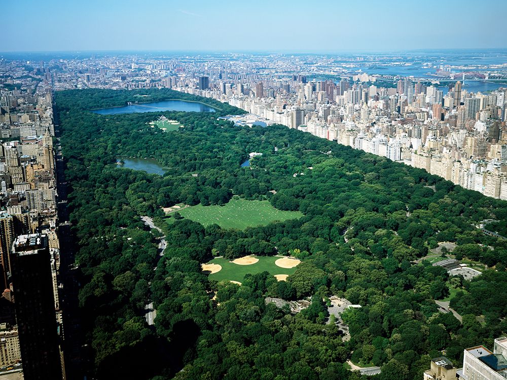 Aerial view of Central Park-New York art print by Carol Highsmith for $57.95 CAD